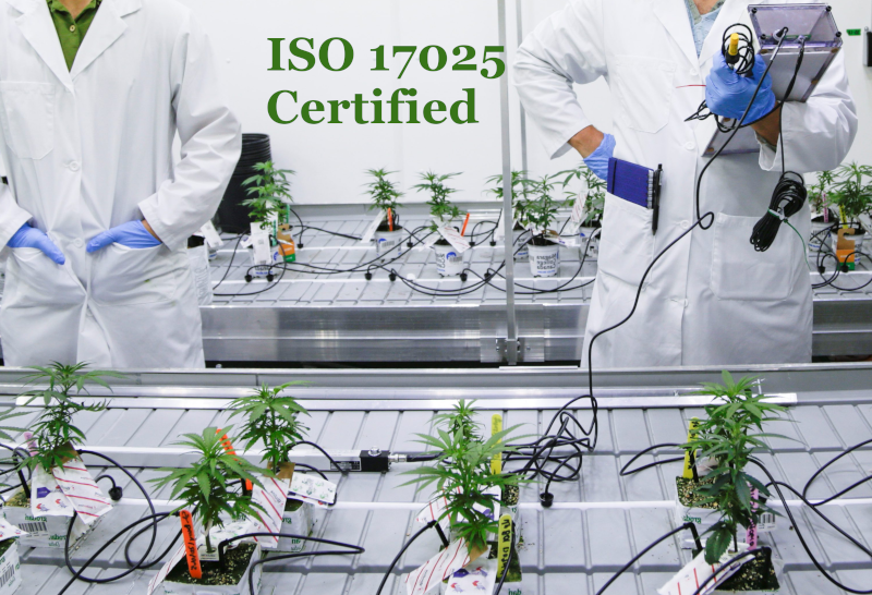 cannabis lab certified marketing